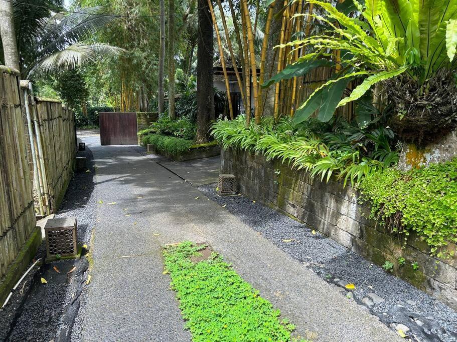 Boho Bellissimo Villa Ubud Buitenkant foto